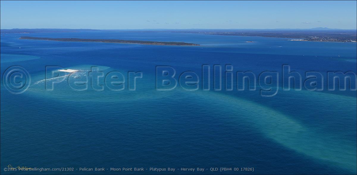 Peter Bellingham Photography Pelican Bank - Moon Point Bank - Platypus Bay - Hervey Bay - QLD (PBH4 00 17826)